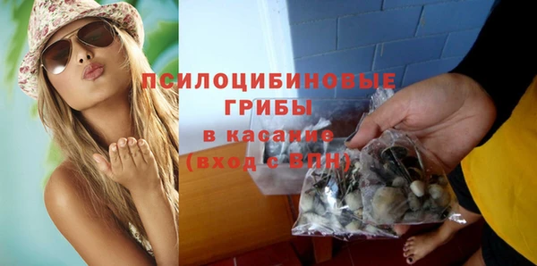 PSILOCYBIN Баксан