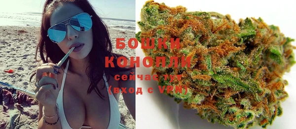 PSILOCYBIN Баксан