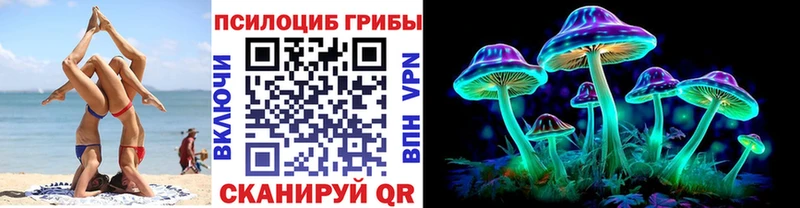 даркнет Telegram  закладка  Щёкино  Псилоцибиновые грибы Magic Shrooms 