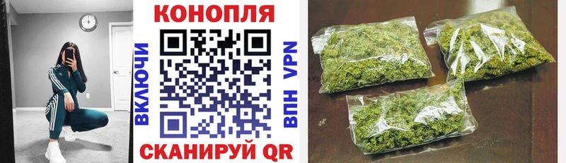 Бошки Шишки гибрид  KRAKEN онион  Щёкино 